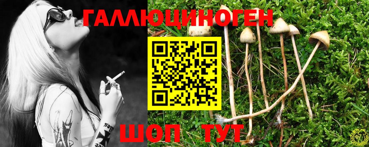Псилоцибиновые грибы мицелий Ухта