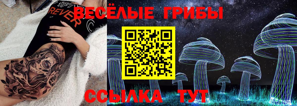 Псилоцибиновые грибы Psilocybe  Вход с VPN  Ухта 